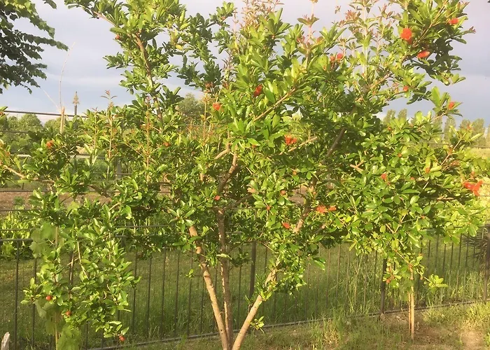 San Giorgio Traversetolo