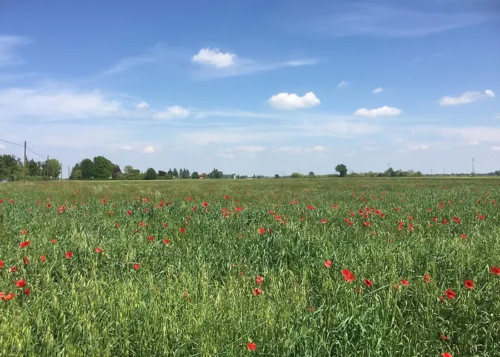 San Giorgio B&B Traversetolo