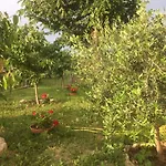 San Giorgio Bed & Breakfast 3*