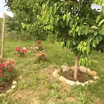 San Giorgio Bed & Breakfast 3*