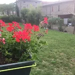 San Giorgio 3*