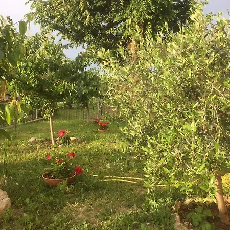 San Giorgio Bed & Breakfast 3*