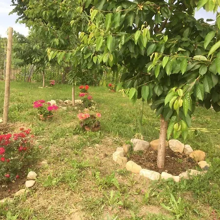 San Giorgio Bed & Breakfast 3*