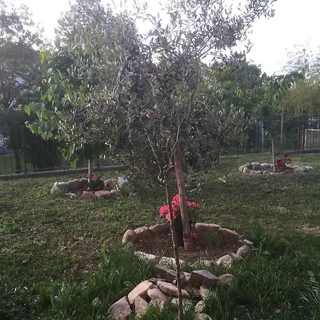 Alojamento de Acomodação e Pequeno-almoço San Giorgio 3*