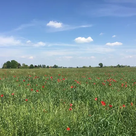 San Giorgio Bed & Breakfast Traversetolo