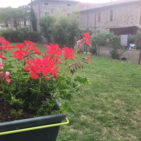 San Giorgio 3*