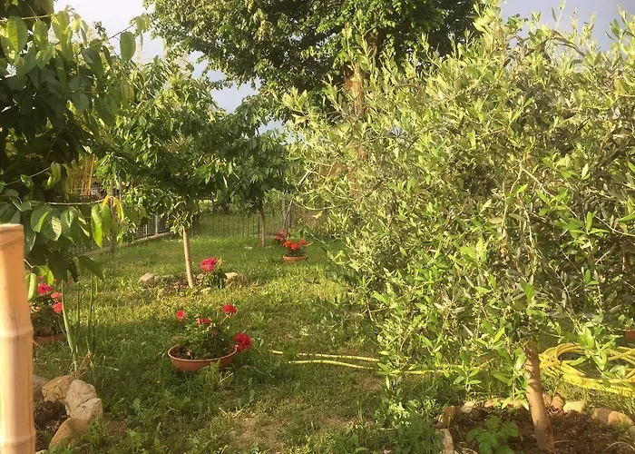 San Giorgio فندق مبيت وإفطار 3*